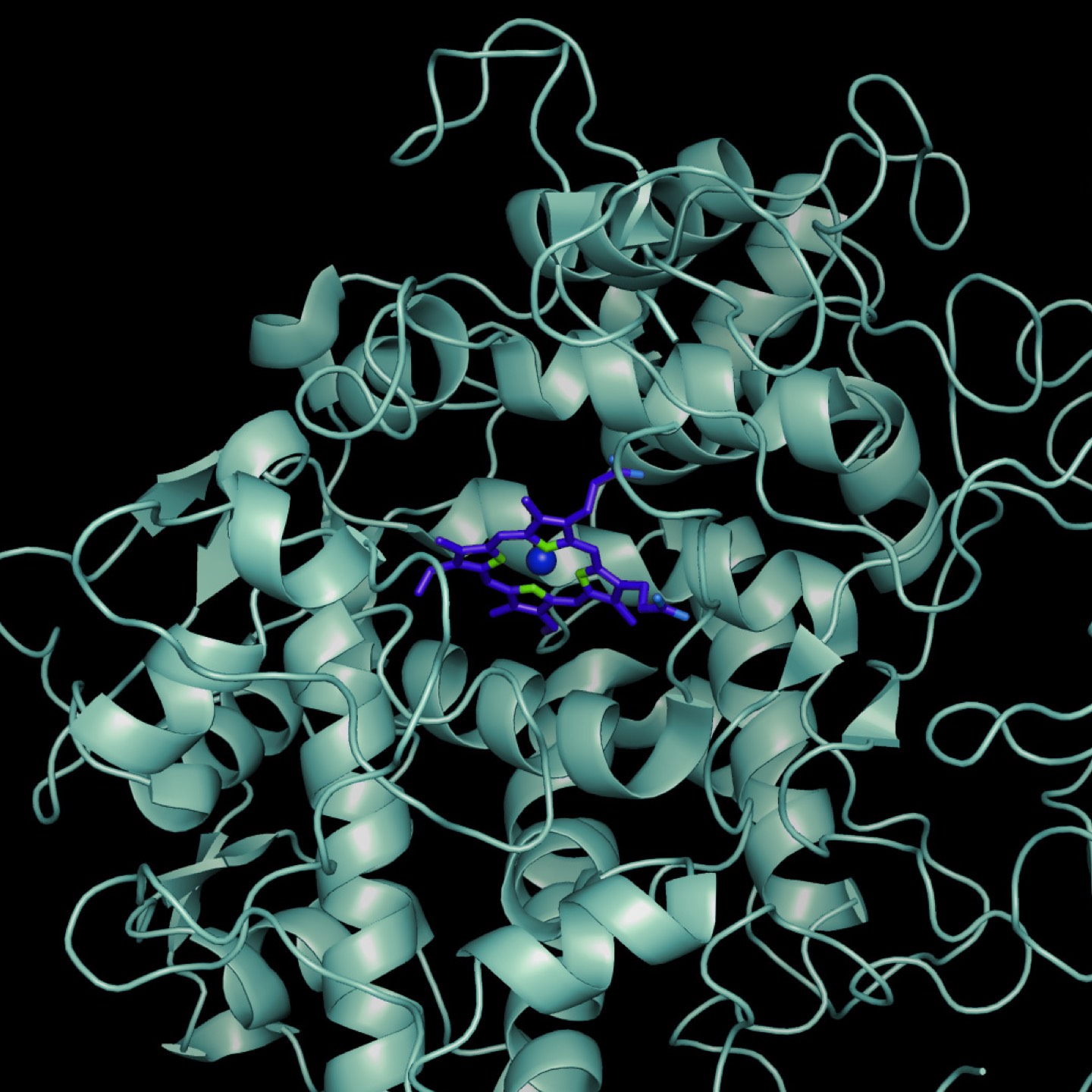 Design Visual for the 11th Human Peroxidase Meeting