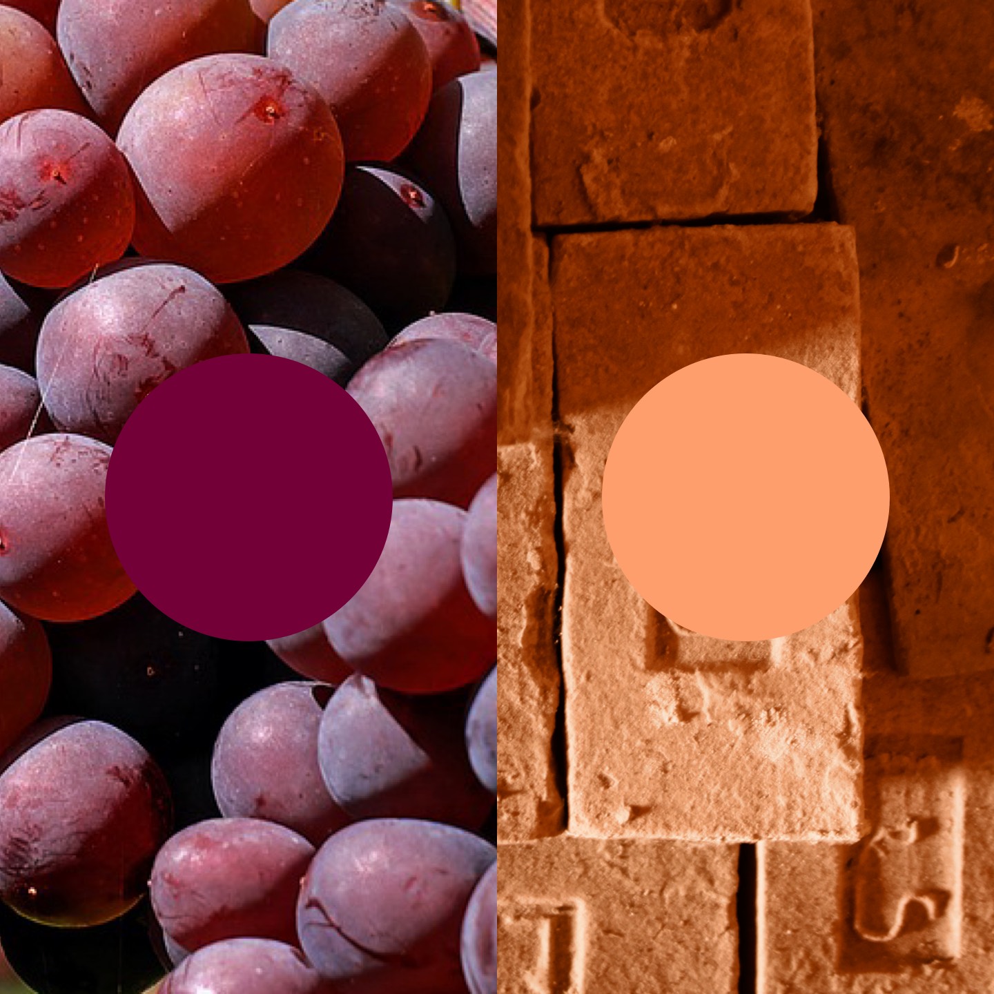 The color concept is influenced by red grapes and old bricks